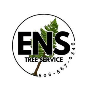 logo-alpha-500-300x300